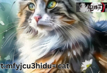 art:mfyjcu3hidu= cat