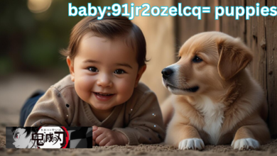 baby:91jr2ozelcq= puppies