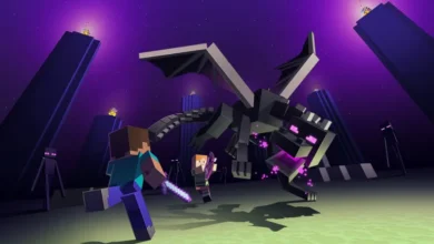 ender dragon:urv7cjuhki4= minecraft